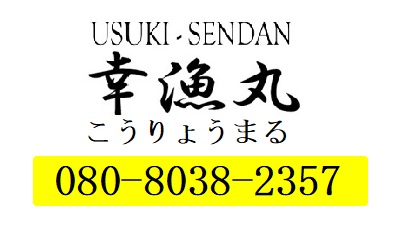 遊漁船幸漁丸　大分臼杵から豊後水道　夜焚きイカメタル！